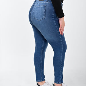 1190 – Plus Size Skinny